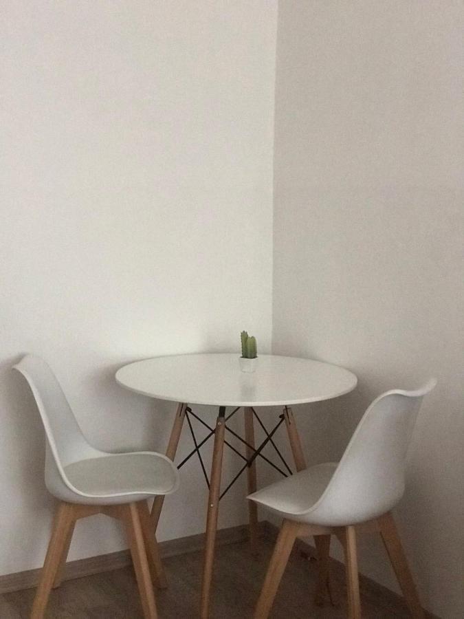 Center Studio Apartment Podgorica Kültér fotó