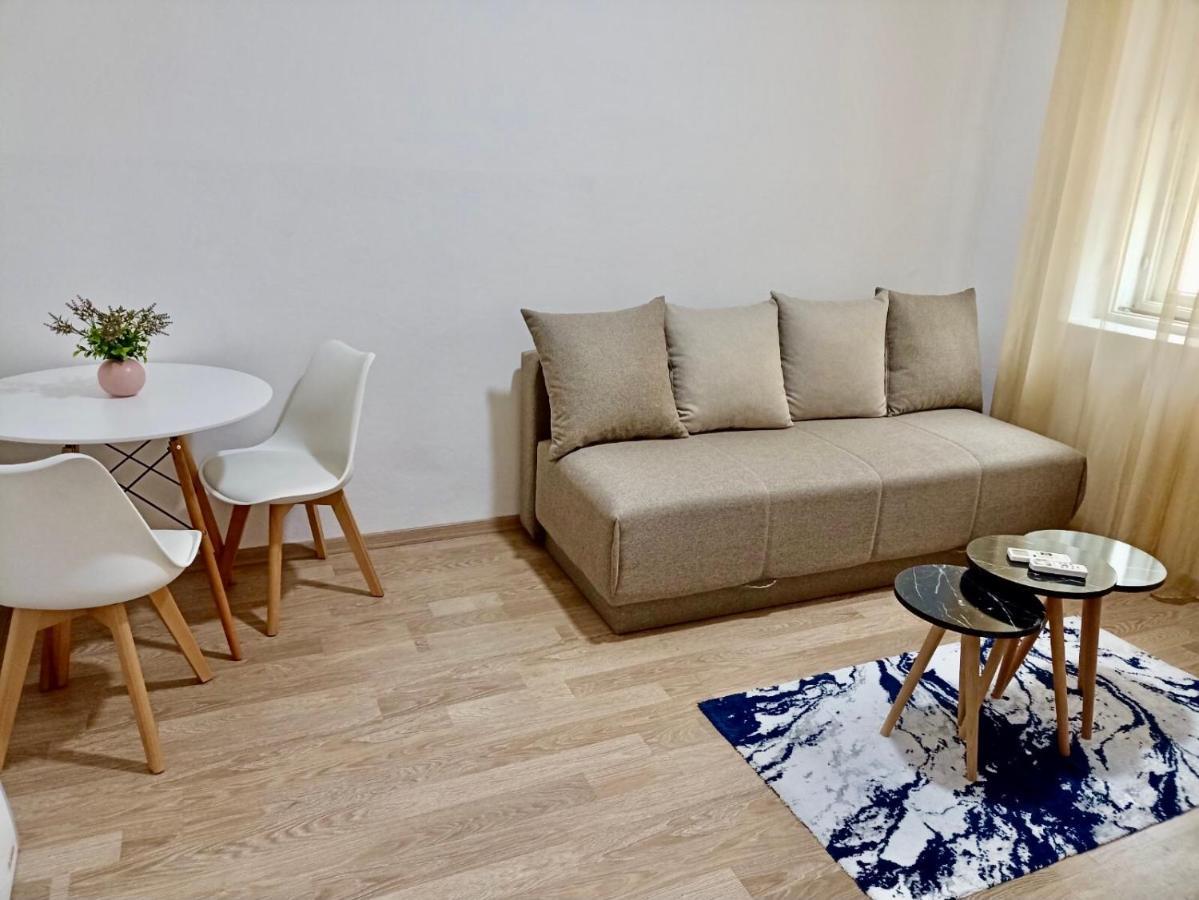 Center Studio Apartment Podgorica Kültér fotó